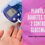 Plantilla Diabetes Tipo 2 Control Glucemia
